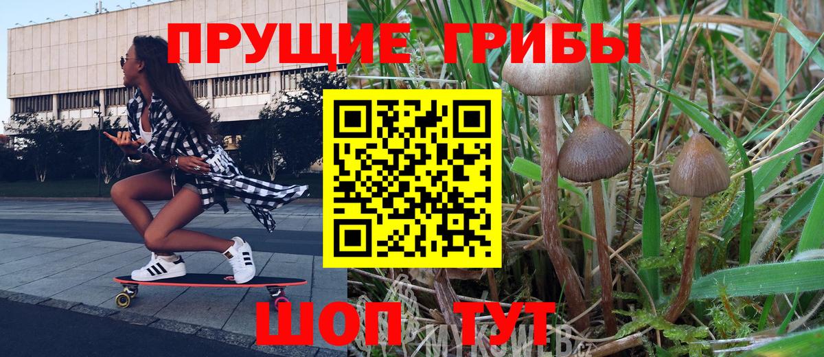 Подольск  Галлюциногенные грибы ЛСД  Галлюциногенные грибы Cubensis  магазин  наркотиков  Вход с VPN 